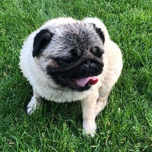 Meet your Posher, Meaghan